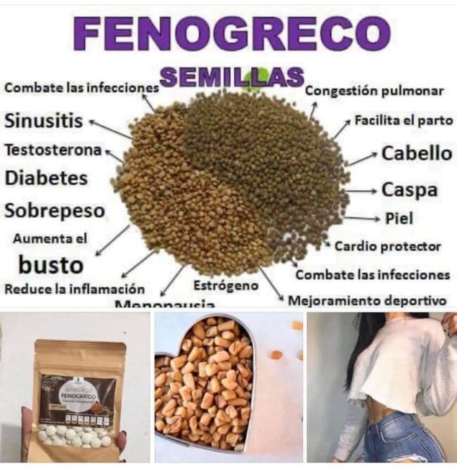 Fenogreco 100 tabletas