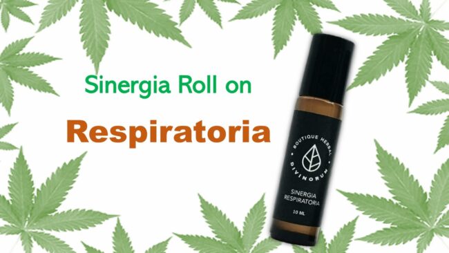 Roll on CBD respiratorio b-20
